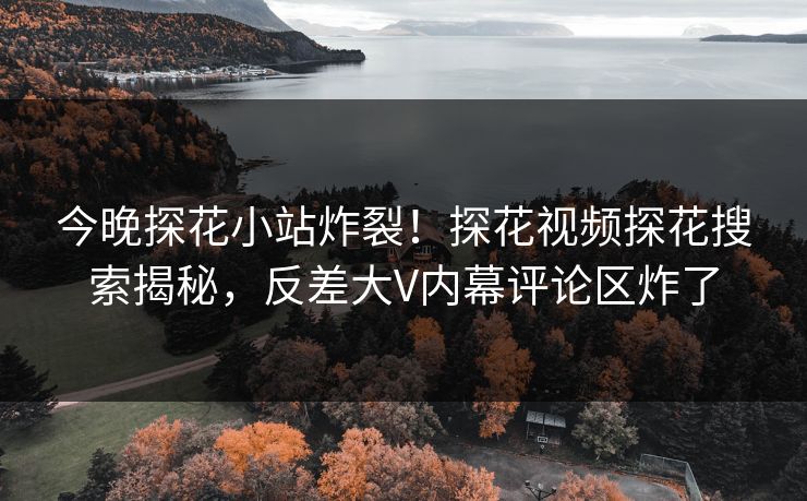 今晚探花小站炸裂！探花视频探花搜索揭秘，反差大V内幕评论区炸了