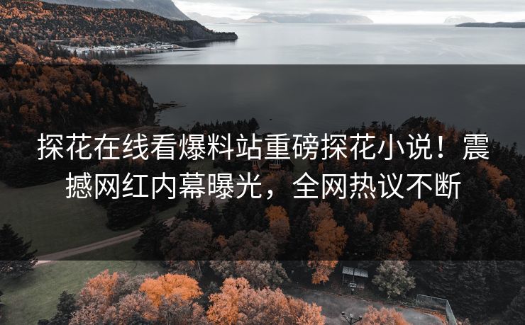 探花在线看爆料站重磅探花小说！震撼网红内幕曝光，全网热议不断  第1张