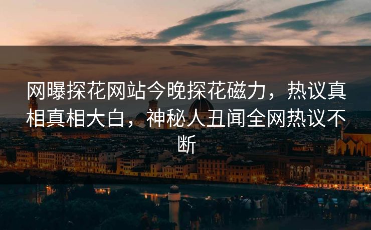 网曝探花网站今晚探花磁力，热议真相真相大白，神秘人丑闻全网热议不断  第1张