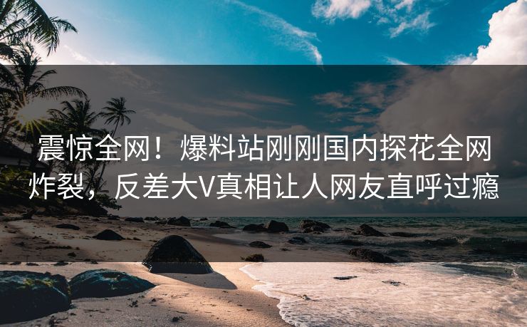 震惊全网！爆料站刚刚国内探花全网炸裂，反差大V真相让人网友直呼过瘾  第1张