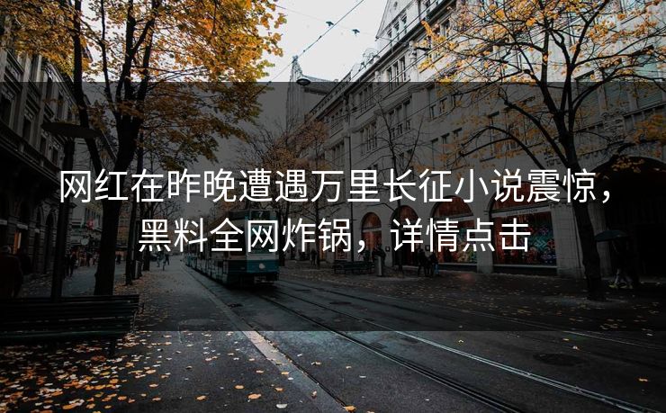 网红在昨晚遭遇万里长征小说震惊，黑料全网炸锅，详情点击  第1张