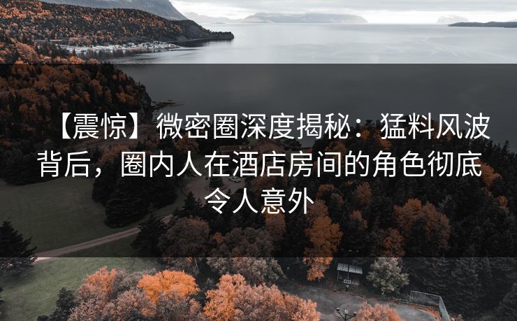 【震惊】微密圈深度揭秘：猛料风波背后，圈内人在酒店房间的角色彻底令人意外  第1张