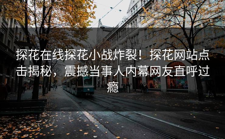 探花在线探花小战炸裂！探花网站点击揭秘，震撼当事人内幕网友直呼过瘾