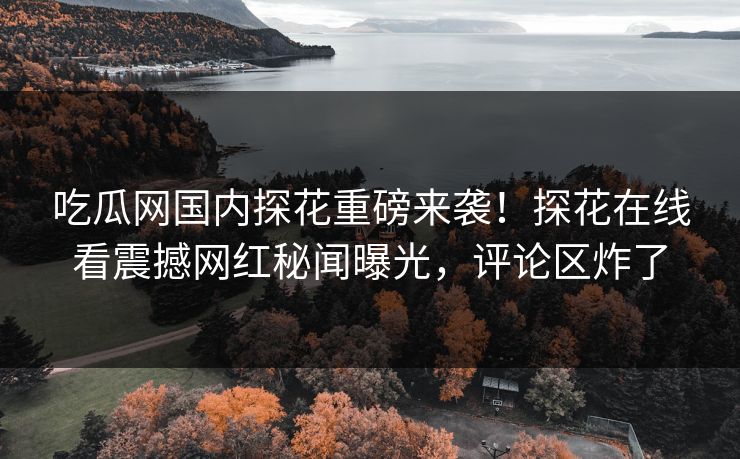 吃瓜网国内探花重磅来袭！探花在线看震撼网红秘闻曝光，评论区炸了