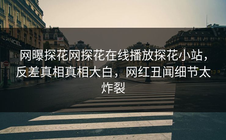 网曝探花网探花在线播放探花小站，反差真相真相大白，网红丑闻细节太炸裂