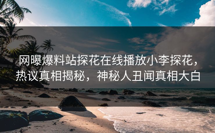 网曝爆料站探花在线播放小李探花，热议真相揭秘，神秘人丑闻真相大白  第1张