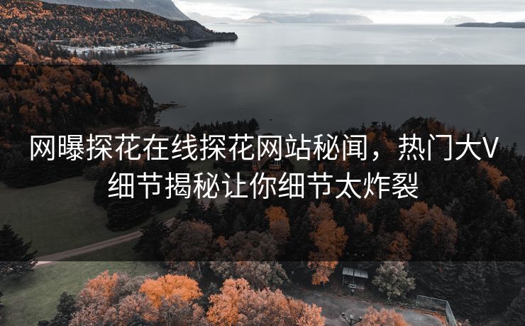 网曝探花在线探花网站秘闻，热门大V细节揭秘让你细节太炸裂
